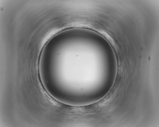 X0000088361191200705221023