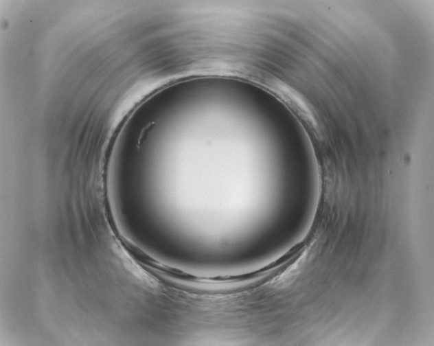 X0000088361192200705221023