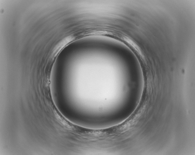 X0000088361193200705221023