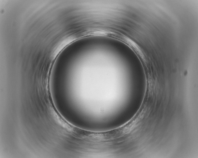 X0000088361194200705221023