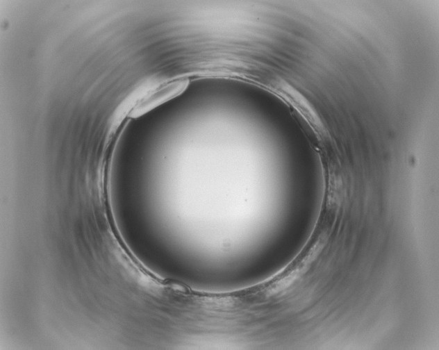 X0000088361196200705221023