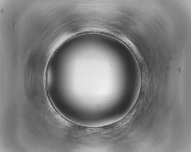 X0000088361199200705221023