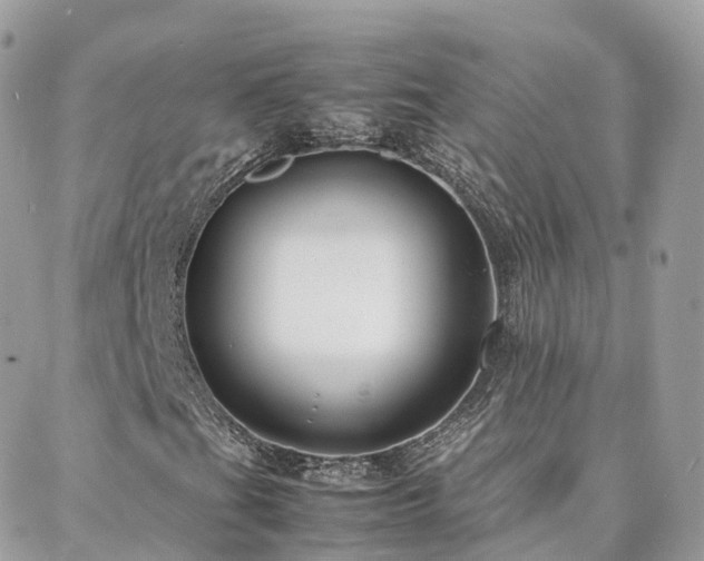 X0000088361201200705221022