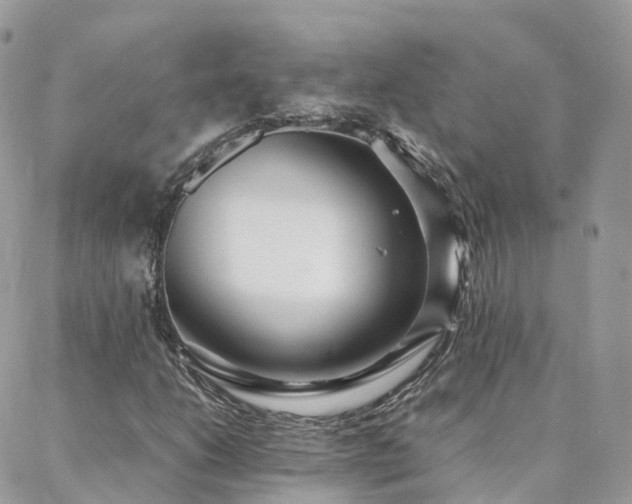X0000088361206200705221022