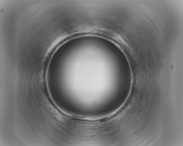 X0000088361216200705221022