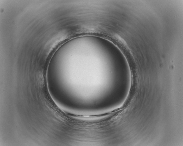 X0000088361218200705221022