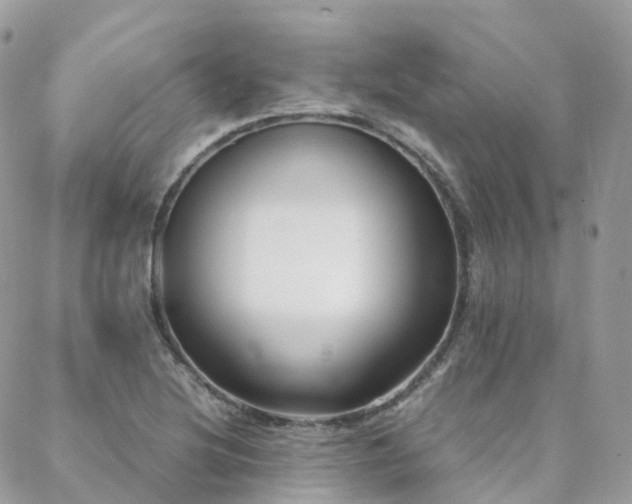 X0000088361220200705221022
