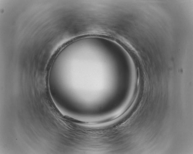 X0000088361222200705221022