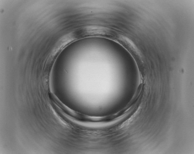 X0000088361225200705221023