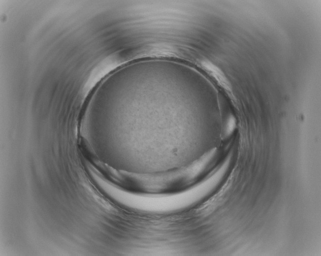 X0000088361226200705221023