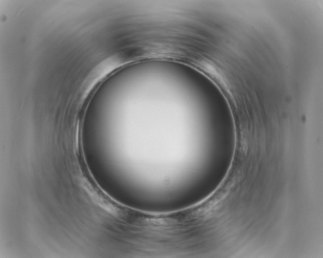 X0000088361227200705221023