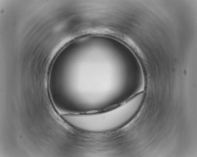 X0000088361232200705221023