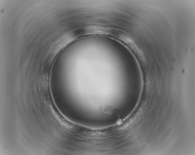 X0000088361233200705221023