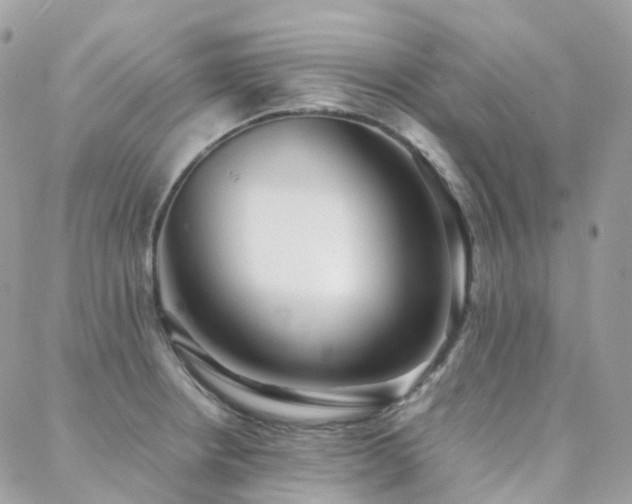 X0000088361234200705221023
