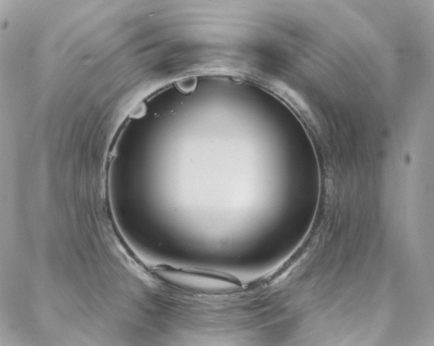 X0000088361236200705221023