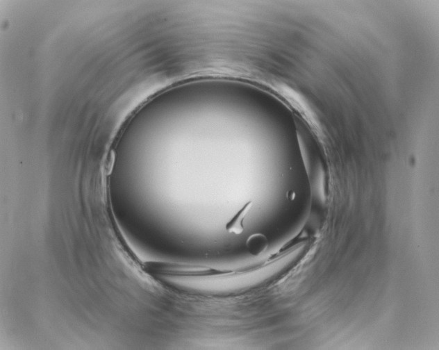 X0000088361238200705221023