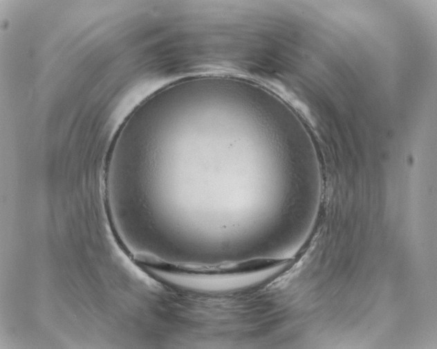 X0000088361239200705221023