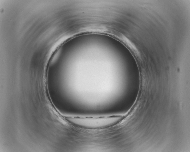 X0000088361240200705221023