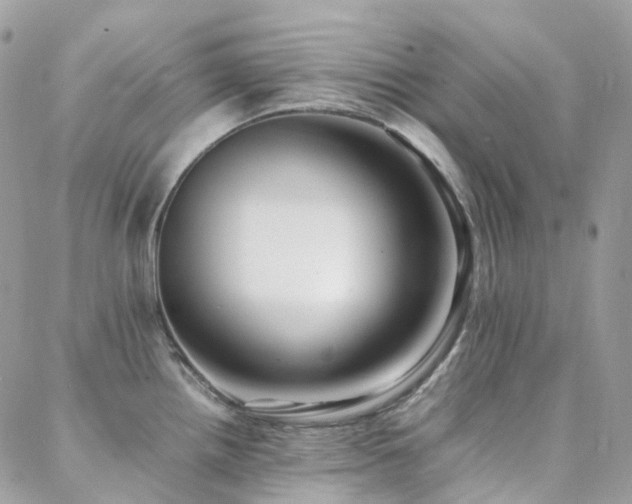 X0000088361242200705221023