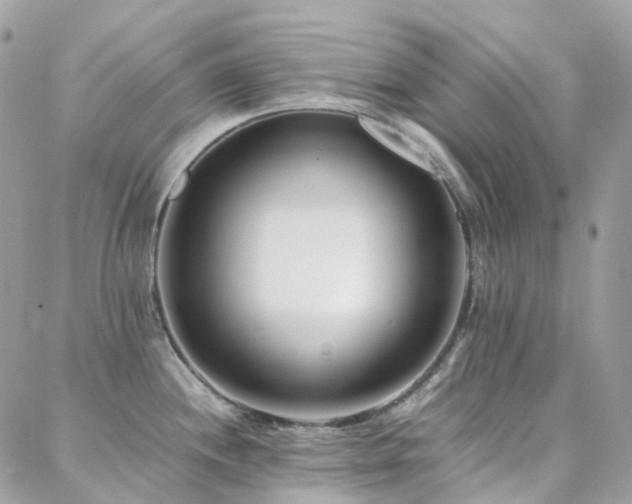 X0000088361244200705221023