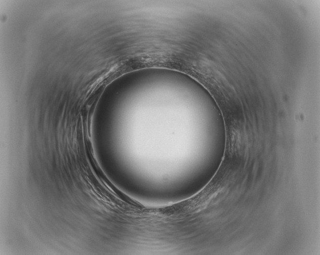 X0000088361250200705221022