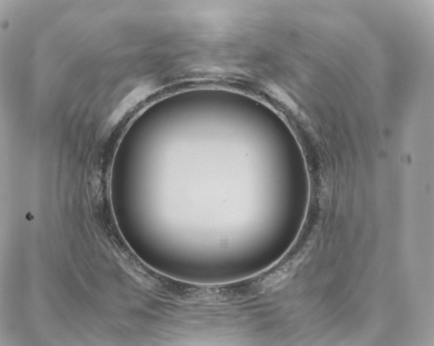 X0000088361259200705221022