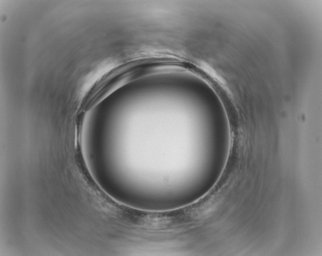 X0000088361269200705221022