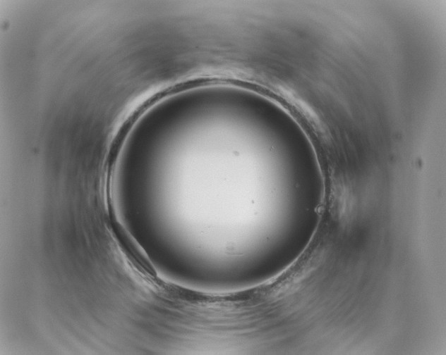 X0000088361272200705221022