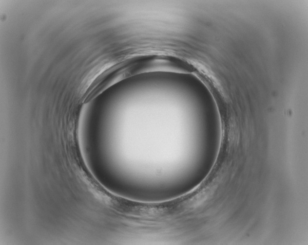 X0000088361273200705221022