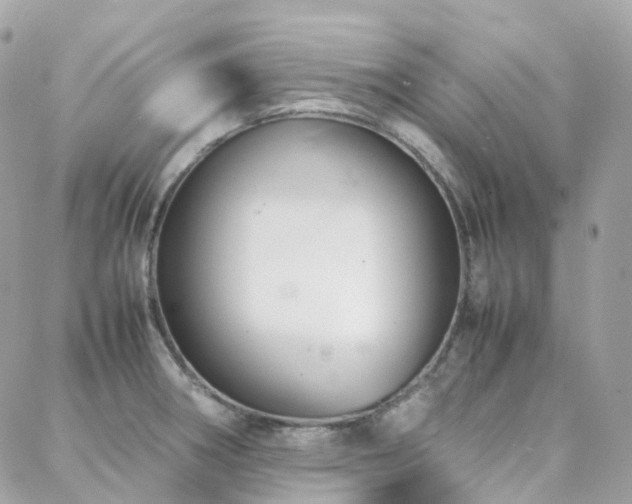 X0000088361282200705221022