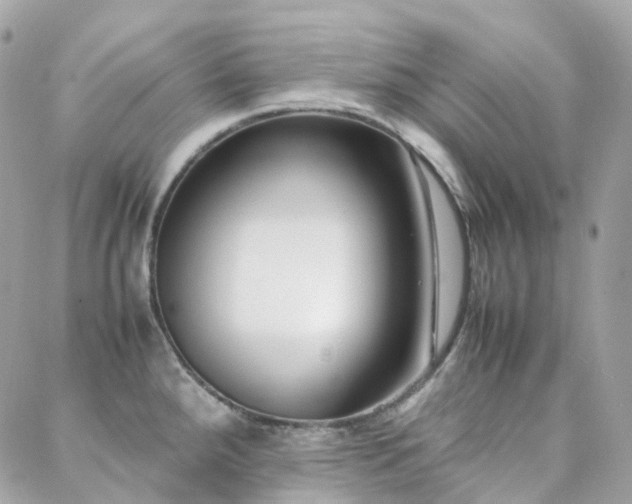 X0000088361288200705221021