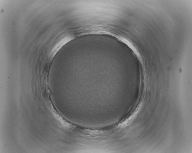 X0000088361289200705221021