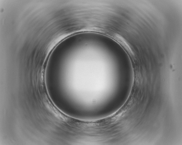 X0000088361292200705221021