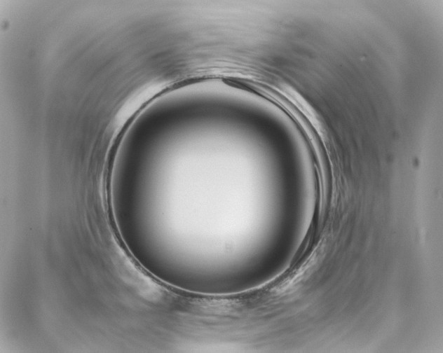 X0000088361293200705221021