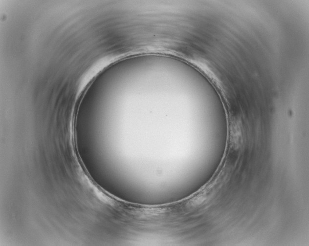 X0000088361294200705221021