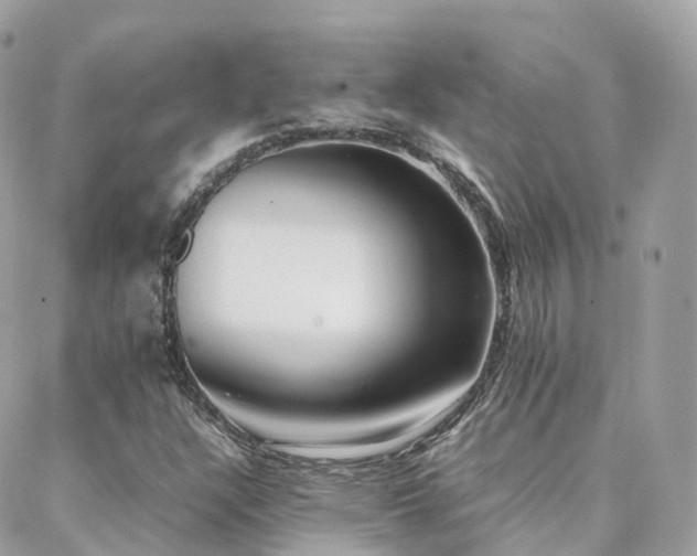X0000088361304200705221021