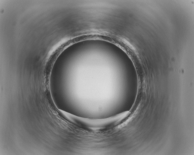 X0000088361310200705221021