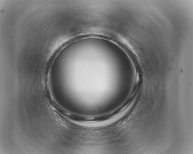 X0000088361312200705221021