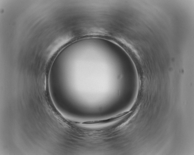 X0000088361317200705221021