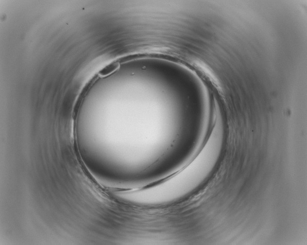 X0000088361324200705221021