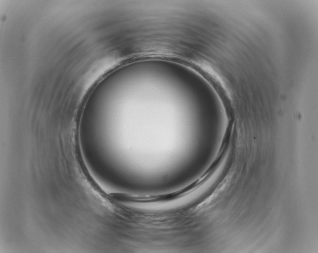 X0000088361325200705221021