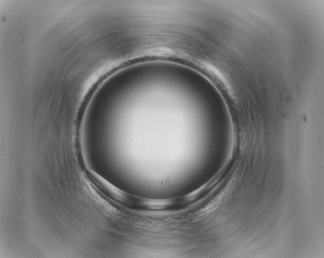 X0000088361326200705221021