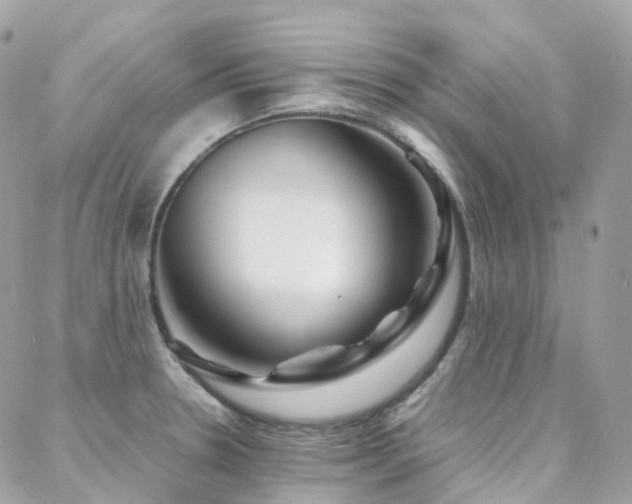 X0000088361330200705221021