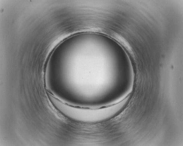 X0000088361332200705221021