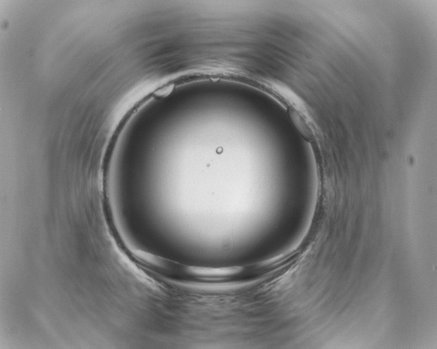 X0000088361335200705221021