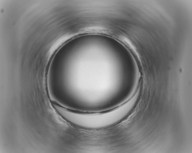 X0000088361336200705221021