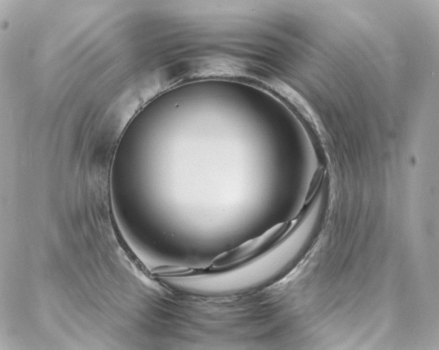X0000088361337200705221021