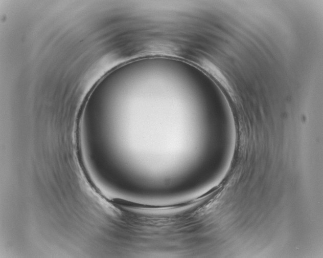 X0000088361339200705221021