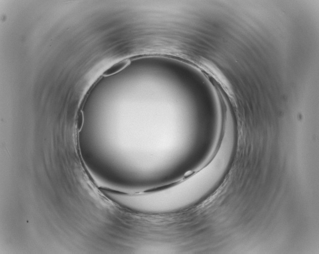 X0000088361340200705221021