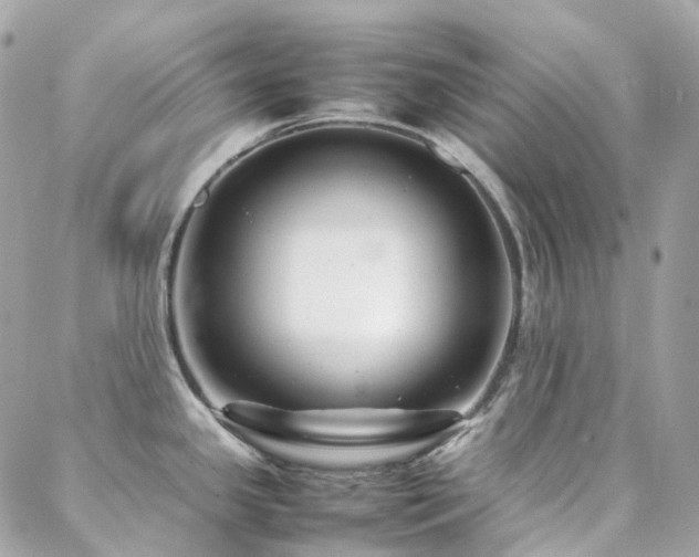 X0000088361341200705221021